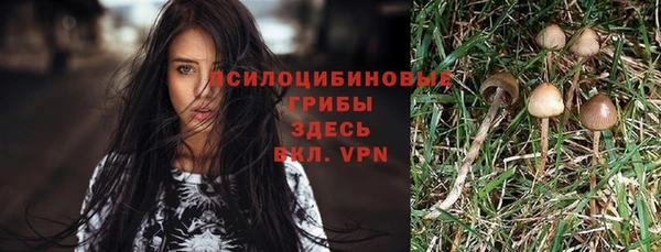 дживик Киреевск