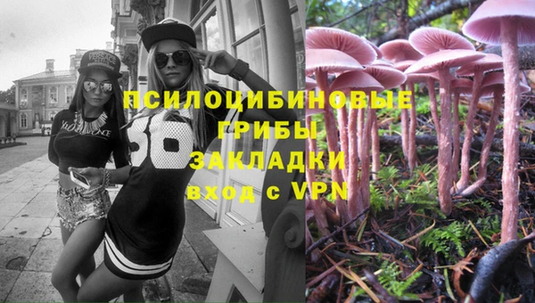 дживик Киреевск
