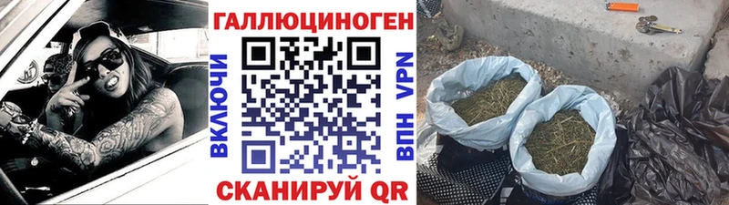 Купить  Любим  Псилоцибиновые грибы ЛСД 